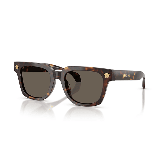 Versace VE4510U 108/3 52