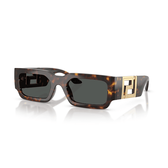Versace VE4506U 108/87 54