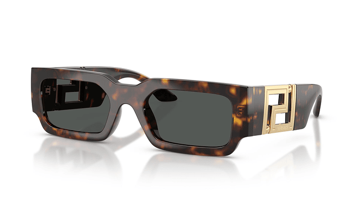 Versace VE4506U 108/87 54 1