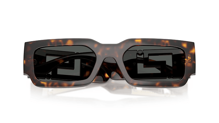 Versace VE4506U 108/87 54 4