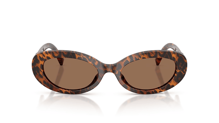 Dolce & Gabbana DG4537 347073 53 5