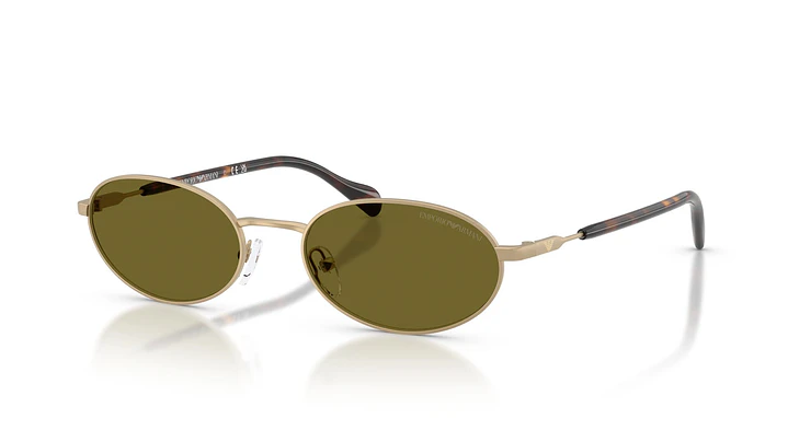 Emporio Armani EA2175 EA2175 3002/2 54 1