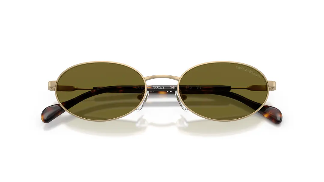 Emporio Armani EA2175 EA2175 3002/2 54 4