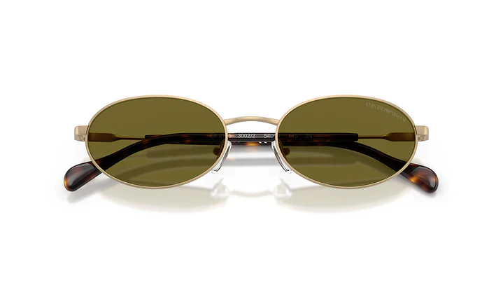Emporio Armani EA2175 EA2175 3002/2 54 4