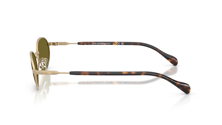 Emporio Armani EA2175 EA2175 3002/2 54 2
