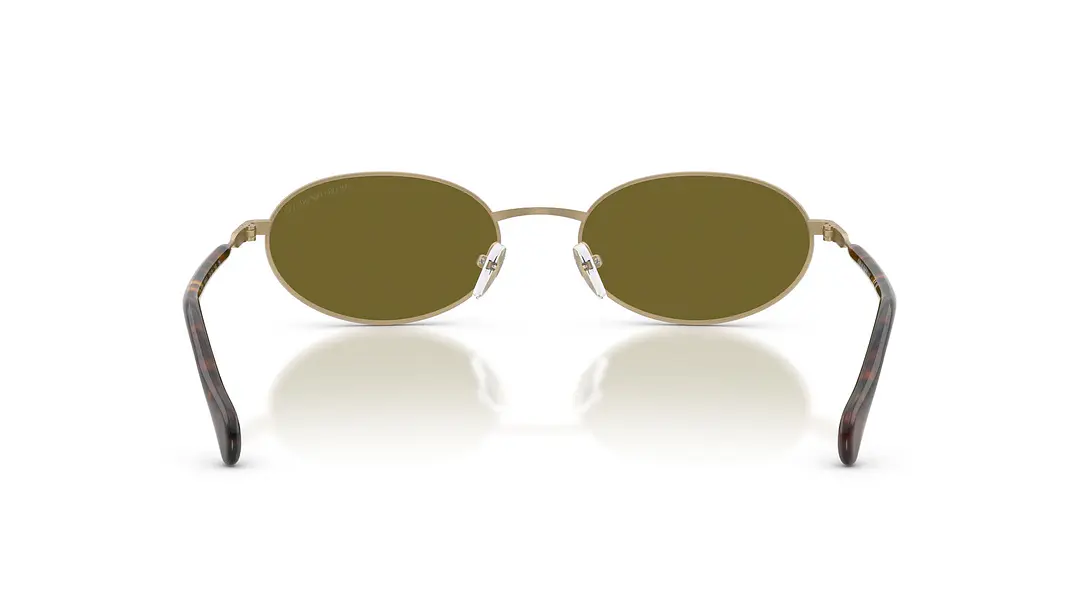 Emporio Armani EA2175 EA2175 3002/2 54 3