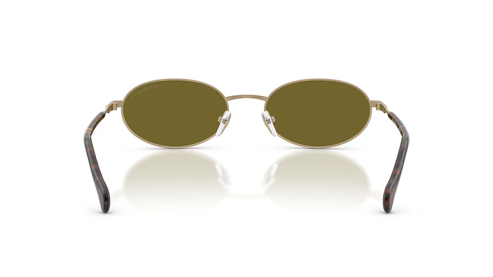 Emporio Armani EA2175 EA2175 3002/2 54 3