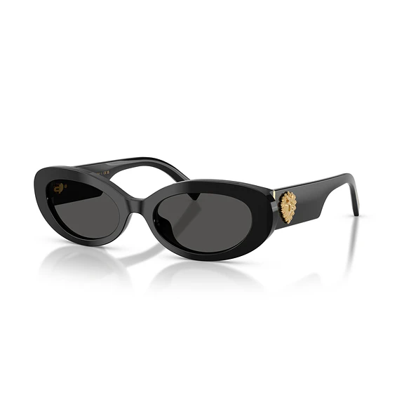 Dolce & Gabbana DG4537 DG4537 501/87 53