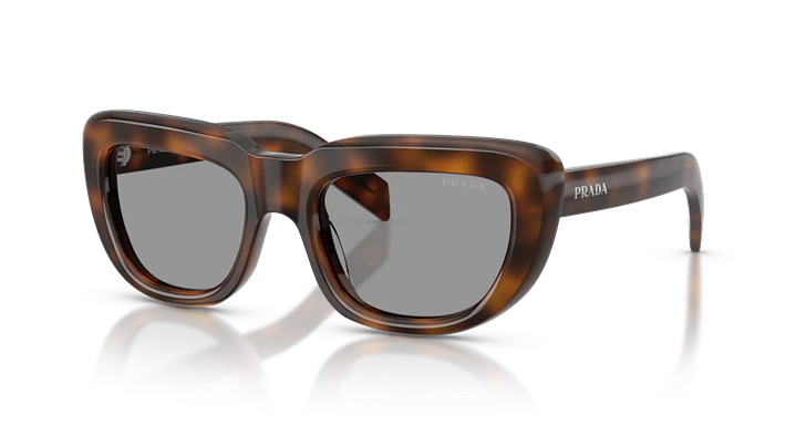 Prada PR D07S 20D50Q 53 1