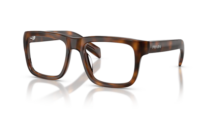 Prada PR D02V 20D1O1 54 1