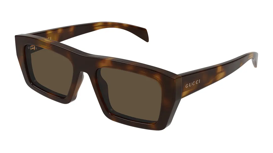 Gucci GG2020S GG2020S-00254 1