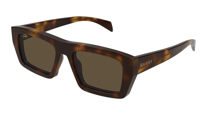 Gucci GG2020S GG2020S-00254 1