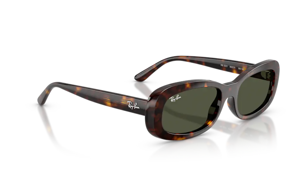 Ray-Ban RB2221 902/31 53 4