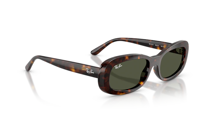 Ray-Ban RB2221 902/31 53 4