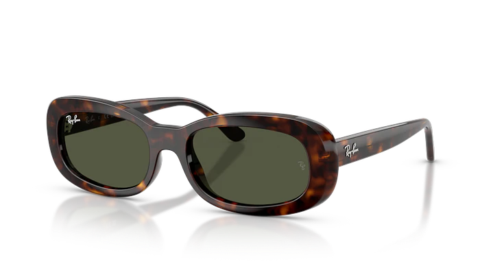 Ray-Ban RB2221 902/31 53 1
