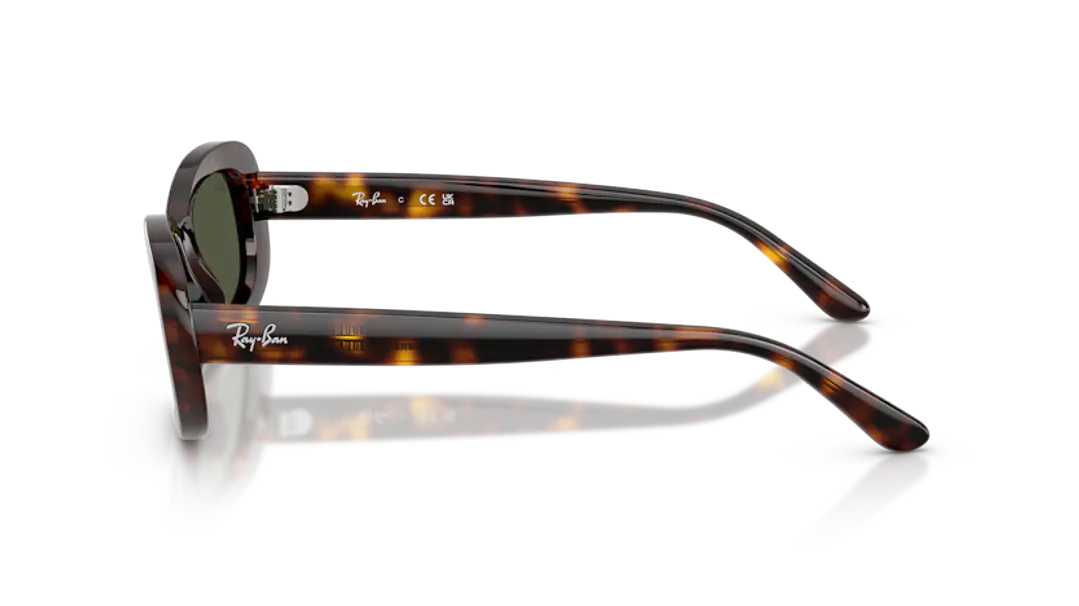 Ray-Ban RB2221 902/31 53 2
