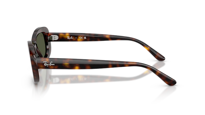 Ray-Ban RB2221 902/31 53 2