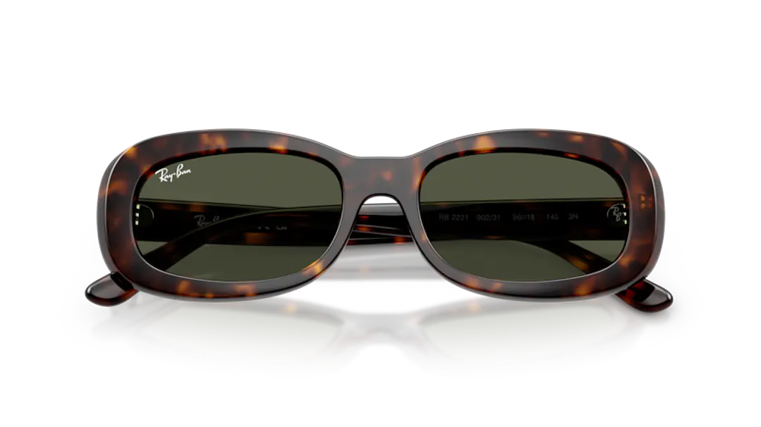 Ray-Ban RB2221 902/31 53 5