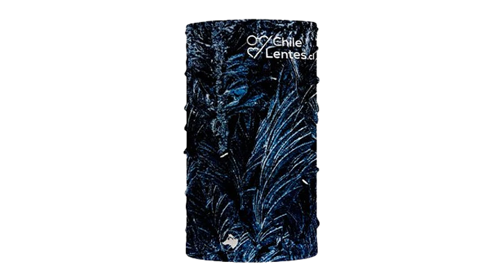 Bandana - Frozen Fern 1