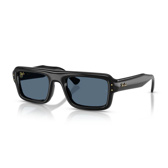 Ray-Ban RB4954 RB4954 601/80 54