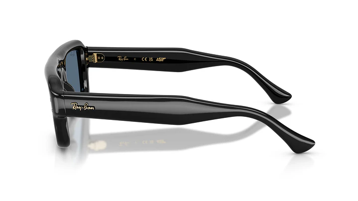 Ray-Ban RB4954 RB4954 601/80 54 2