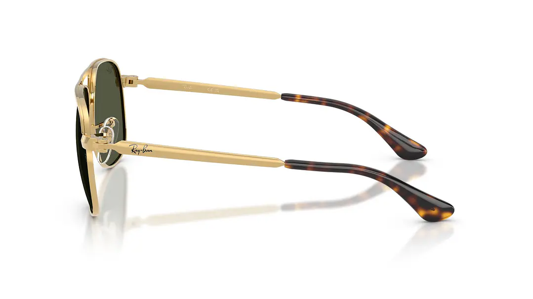 Ray-Ban Bill Max RB3793 001/31 56 2