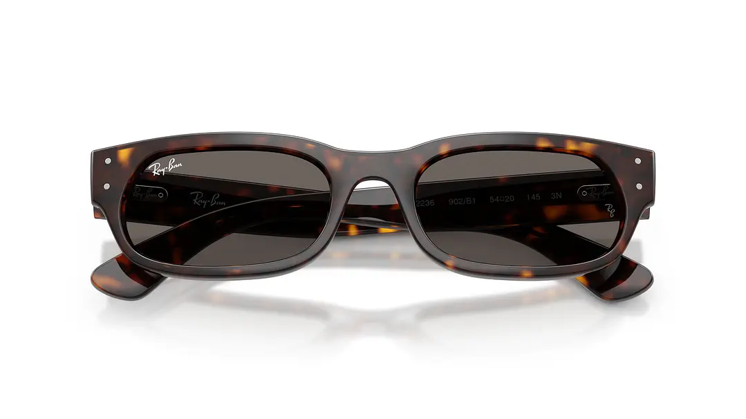 Ray-Ban RB2236 RB2236 902/B1 54 5