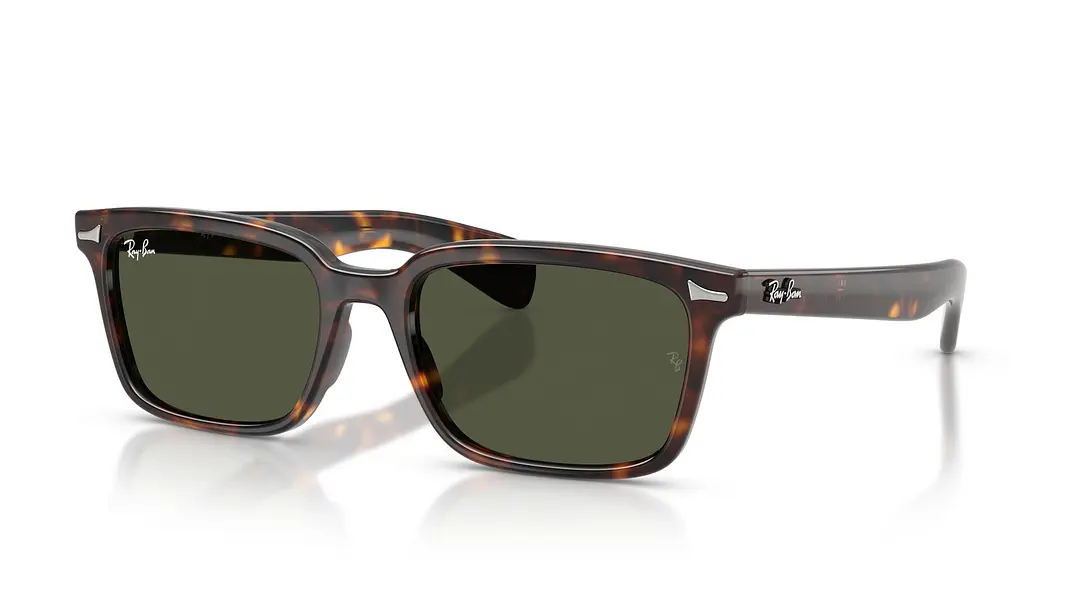 Ray-Ban Brunel RB2234 902/31 56 1