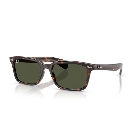 Ray-Ban Brunel RB2234 902/31 56