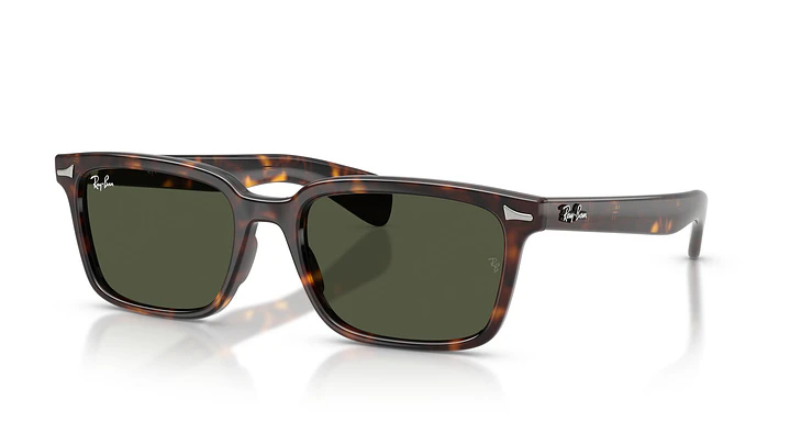 Ray-Ban Brunel RB2234 902/31 56 1