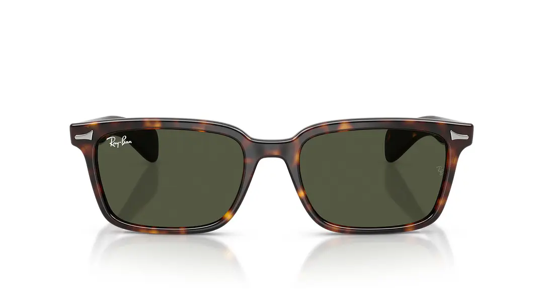Ray-Ban Brunel RB2234 902/31 56 6