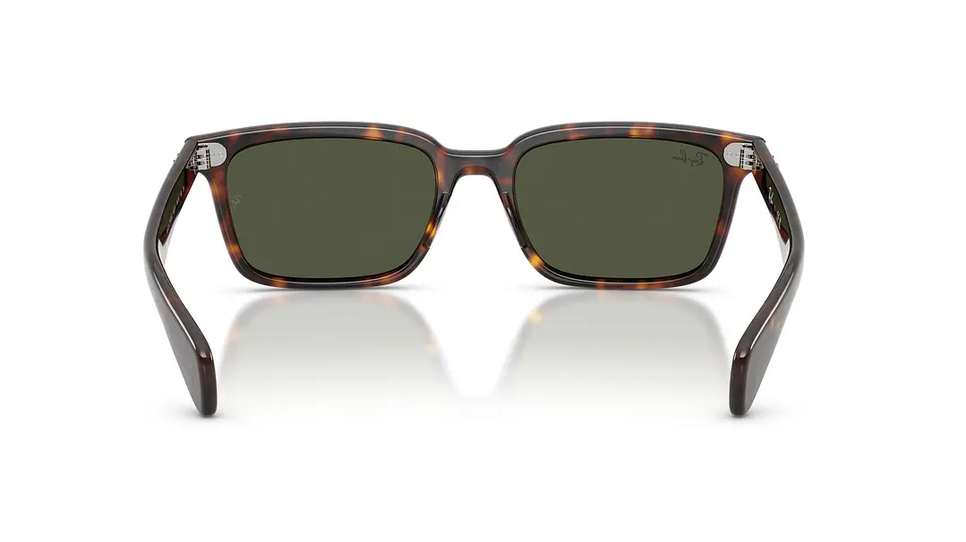 Ray-Ban Brunel RB2234 902/31 56 3