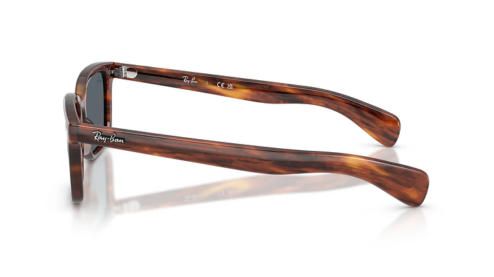 Ray-Ban Brunel RB2234 954/R5 56 2