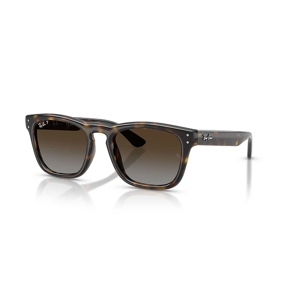 Ray-Ban RB2238 RB2238 710/T5 52