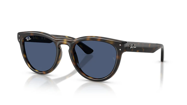 Ray-Ban RB2237 RB2237 710/80 51 1