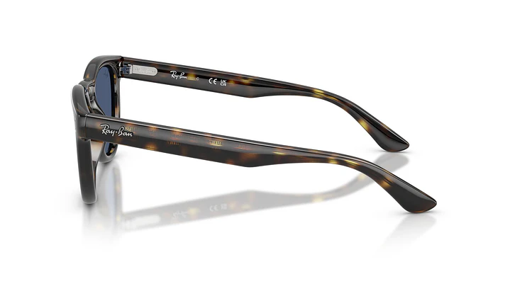 Ray-Ban RB2237 RB2237 710/80 51 2