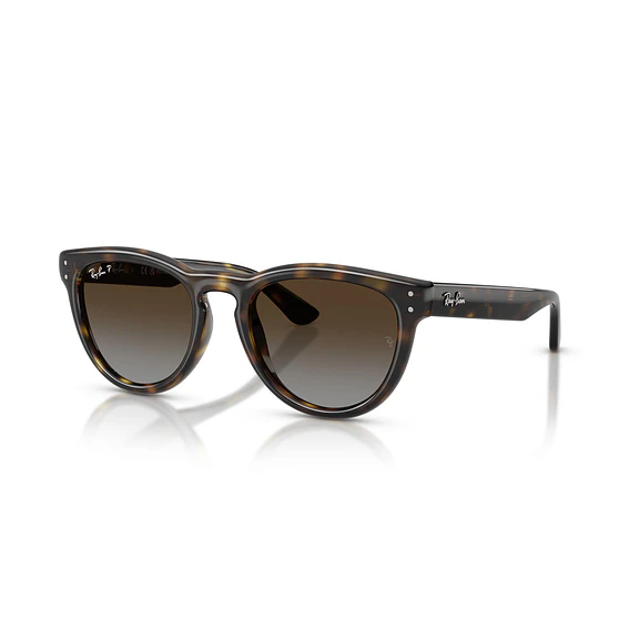 Ray-Ban RB2237 RB2237 710/T5 51