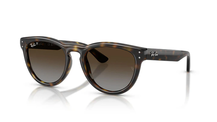 Ray-Ban RB2237 RB2237 710/T5 51 1