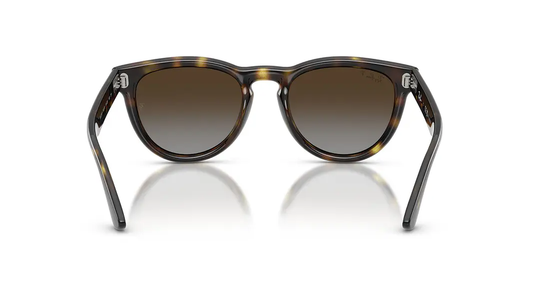 Ray-Ban RB2237 RB2237 710/T5 51 3
