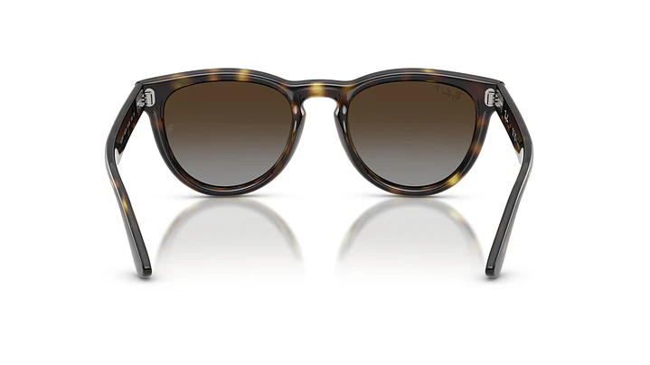 Ray-Ban RB2237 RB2237 710/T5 51 3