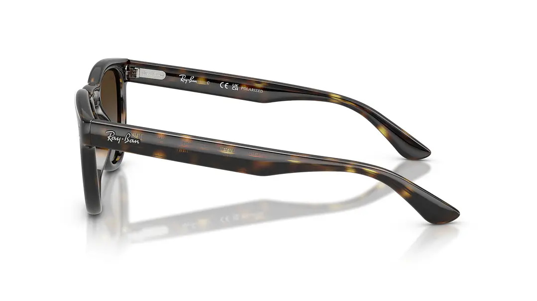 Ray-Ban RB2237 RB2237 710/T5 51 2