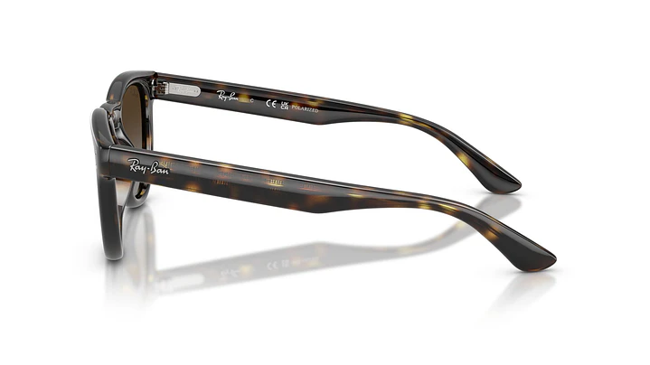 Ray-Ban RB2237 RB2237 710/T5 51 2