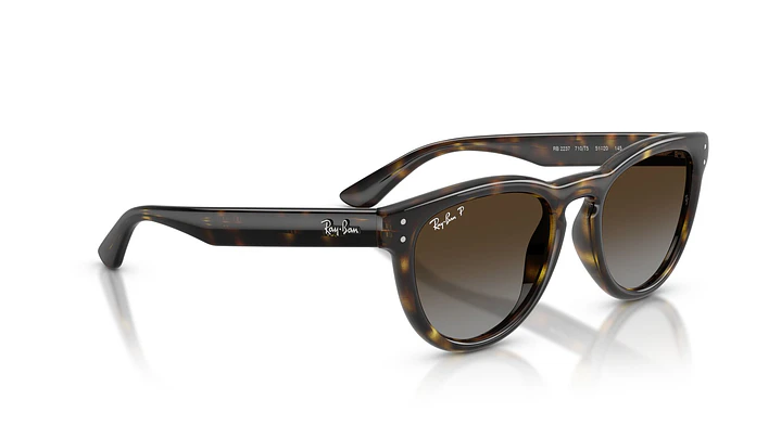 Ray-Ban RB2237 RB2237 710/T5 51 4