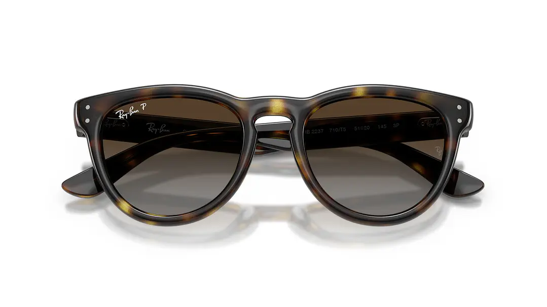 Ray-Ban RB2237 RB2237 710/T5 51 5