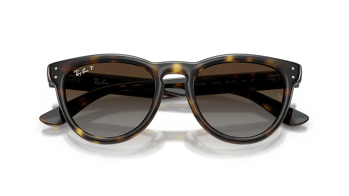 Ray-Ban RB2237 RB2237 710/T5 51 5