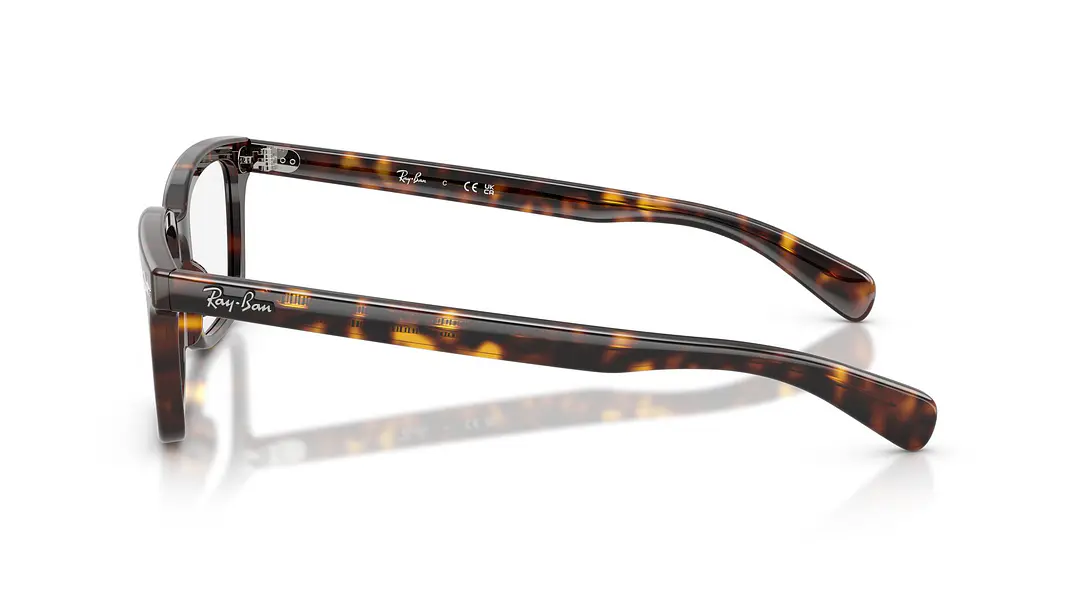 Ray-Ban Brunel RX5534 2012 55 2