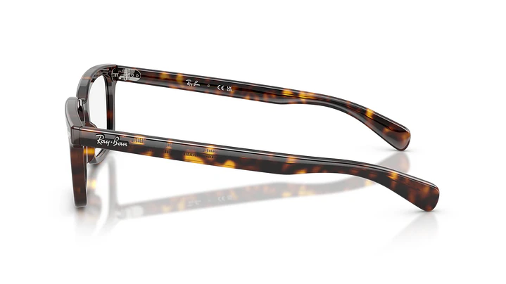 Ray-Ban Brunel RX5534 2012 55 2