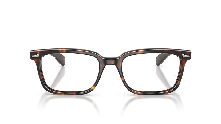 Ray-Ban Brunel RX5534 2012 55 6