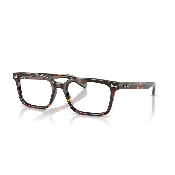 Ray-Ban Brunel RX5534 2012 55