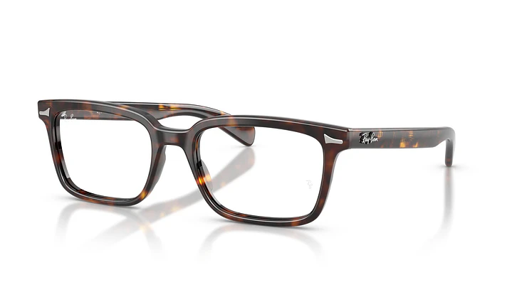 Ray-Ban Brunel RX5534 2012 55 1